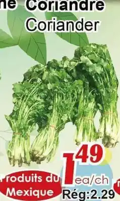Marche C&T Coriandre offer