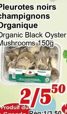 Marche C&T Pleurotes noirs champignons Organique offer