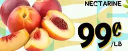 Marche Salaberry NECTARINE offer