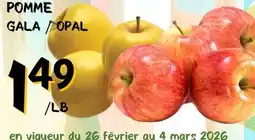 Marche Salaberry POMME offer