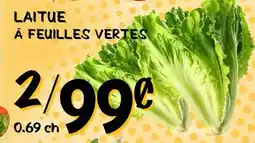 Marche Salaberry LAITUE À FEUILLES VERTES offer