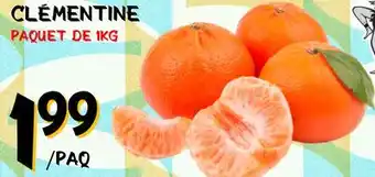 Marche Salaberry CLÉMENTINE offer