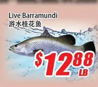 WinCo Food Mart Live Barramundi offer