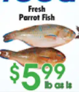 Danforth Food Market Fresh Parrot Fish offer