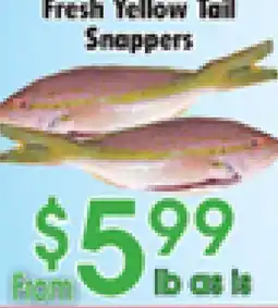 Danforth Food Market Fresh Yellow Tail Snappers offer