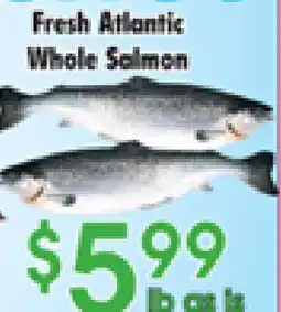 Danforth Food Market Fresh Atlantic Whole Salmon offer