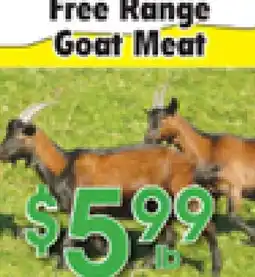 Danforth Food Market Free Range Goat Meat offer