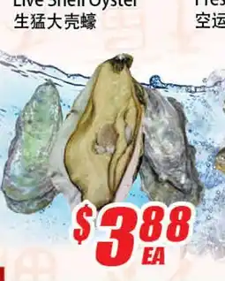 WinCo Food Mart Live Shell Oyster offer