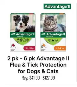 Ren’s Pets Depot Advantage II Flea & Tick Protection for Dogs & Cats offer