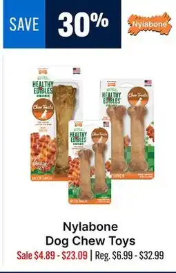 Ren’s Pets Depot Nylabone Dog Chew Toys offer