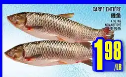 Marché Lian Tai CARPE ENTIERE offer