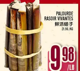 Marché Lian Tai PALOURDE RASOIR VIVANTES offer