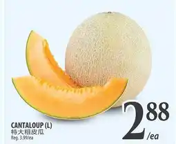 Al Premium Food Mart CANTALOUP (L) offer