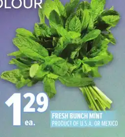 Metro FRESH BUNCH MINT offer