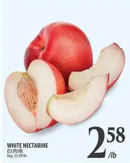 Al Premium Food Mart WHITE NECTARINE offer