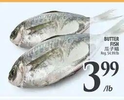 Al Premium Food Mart BUTTER FISH offer