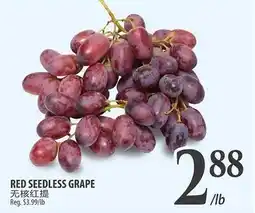Al Premium Food Mart RED SEEDLESS GRAPE offer
