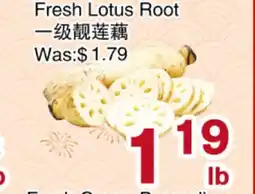 First Choice Supermarket Fresh Lotus Root offer