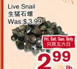 First Choice Supermarket Live Snail offer