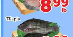 Fresh Value Tilapia offer