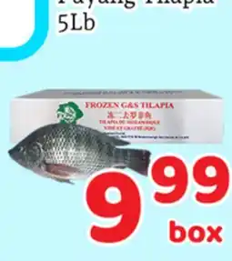 Fresh Value Frozen G&S Tilapia offer