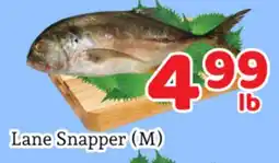 Fresh Value Lane Snapper (M) offer