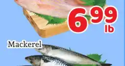 Fresh Value Mackerel offer