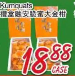 Foody Mart Kumquats offer