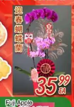 Foody Mart Fuji Apple offer