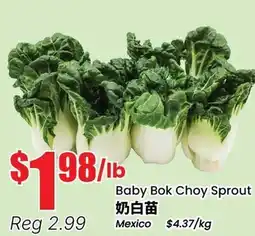Btrust Supermarket Baby Bok Choy Sprout offer