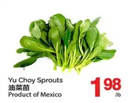 T&T Supermarket YU CHOY SPROUTS offer