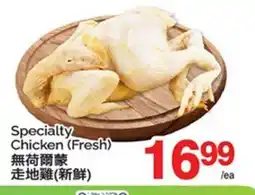 T&T Supermarket SPECIALTY CHICKEN offer