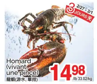 T&T Supermarket HOMARD offer