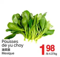 T&T Supermarket POUSSES DE YU CHOY offer