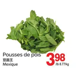 T&T Supermarket POUSSES DE POIS offer