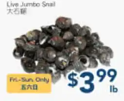 Oceans Fresh Food Market Live Jumbo Snail offer