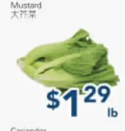 Oceans Fresh Food Market Mustard offer