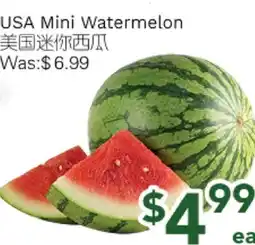 Ample Food Market USA Mini Watermelon offer