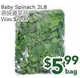 Ample Food Market Baby Spinach 2LB offer