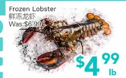 Ample Food Market Frozen Lobster offer