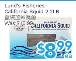 Ample Food Market Lund's Fisheries California Squid 2.2LB offer
