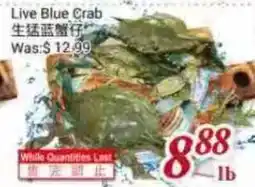 Tone Tai Supermarket Live Blue Crab offer