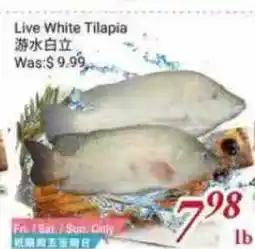 Tone Tai Supermarket Live White Tilapia offer
