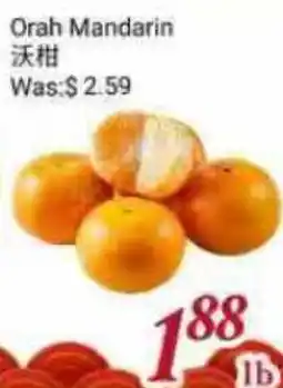 Tone Tai Supermarket Orah Mandarin offer