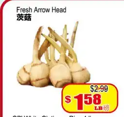 Yuan Ming Supermarket Fresh Arrow Head offer