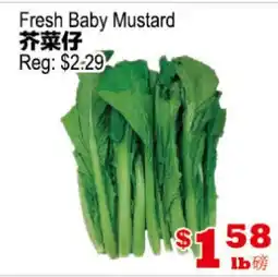 Yuan Ming Supermarket Fresh Baby Mustard offer
