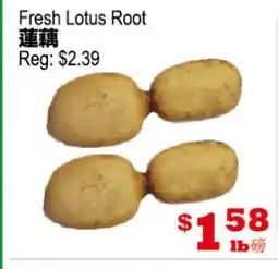 Yuan Ming Supermarket Fresh Lotus Root offer