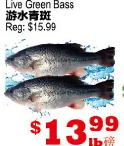 Yuan Ming Supermarket Live Green Bass offer