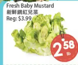 Fresh Palace Supermarket Fresh Baby Mustard offer