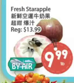 Fresh Palace Supermarket Fresh Starapple offer